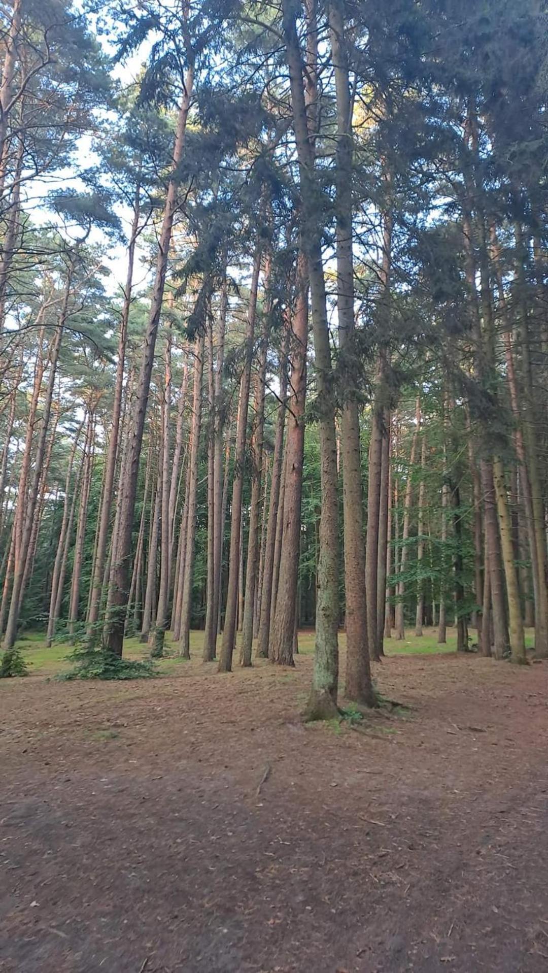 Pobierowo Baltic Apartaments D5 Exteriér fotografie
